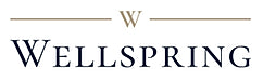 WELLSPRINGMX