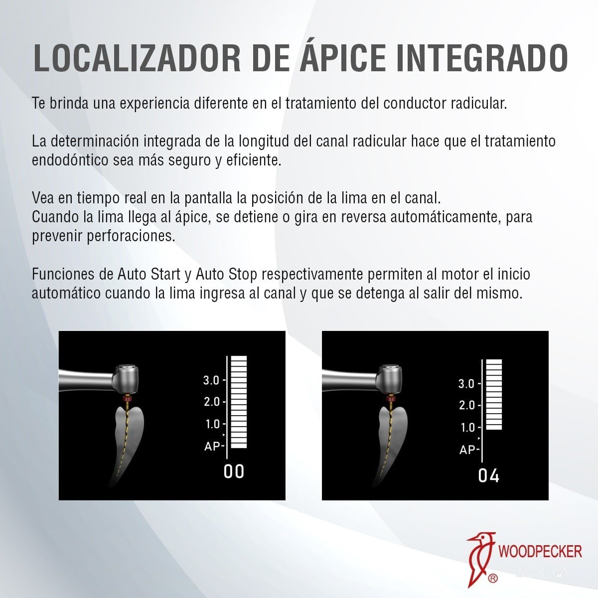 Motor De Endodoncia Inalambrico Woodpecker Motopex Con Localizador de Apice