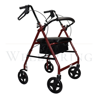 Andadera Rollator de Aluminio Con Asiento Y Canastilla